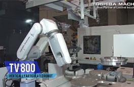 Toshiba Machine robots automation systems at IPF